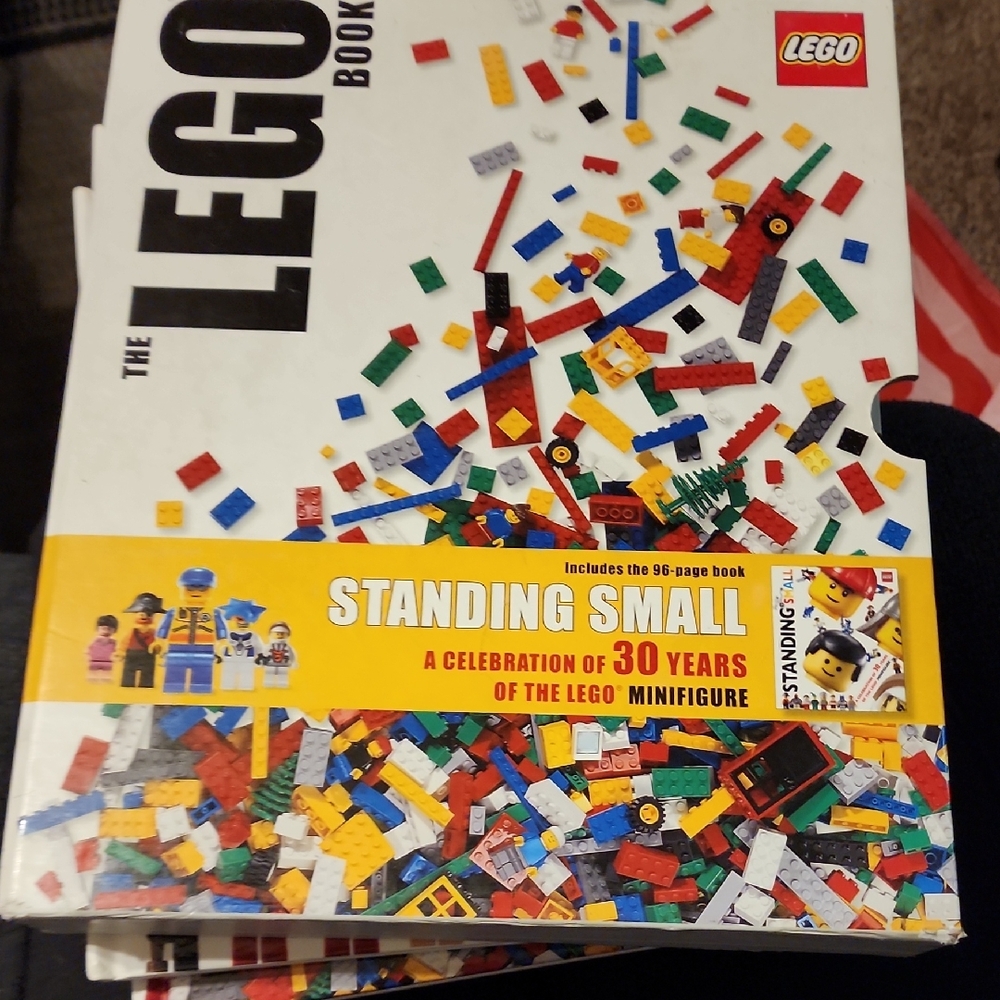 LEGO Colorful Brick Set with Minifigure Book
